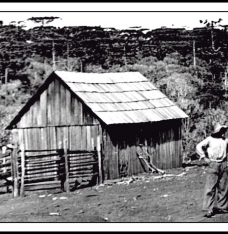 Cacique Índio Bandeira (atribuído) em frente ao seu casebre  na atual região de Campo Mourão. 
Imagem: Acervo  Willi Bathke Jr. - FOTO 5 -