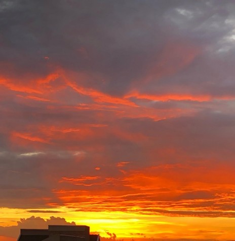 || Pôr do sol na cidade de Marechal Cândido Rondon, em 19 de março de 2021.
Imagem: Acervo e crédito de Alita Rusch - FOTO 11 -

