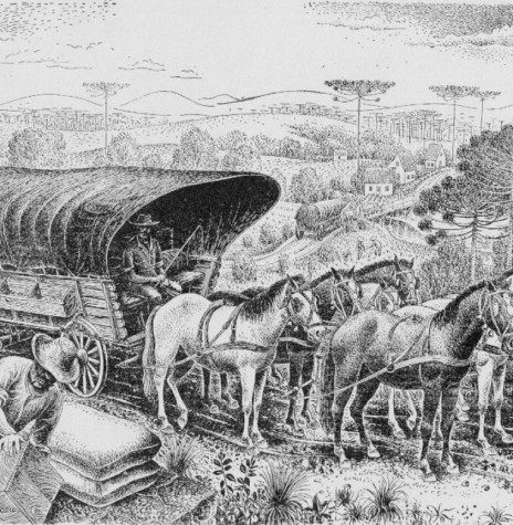 || Carroça com toldo, um meio de transporte marcante da imigração polonesa no Paraná. 
Image: ilustração de Percy Lau - FOTO 8 - 
