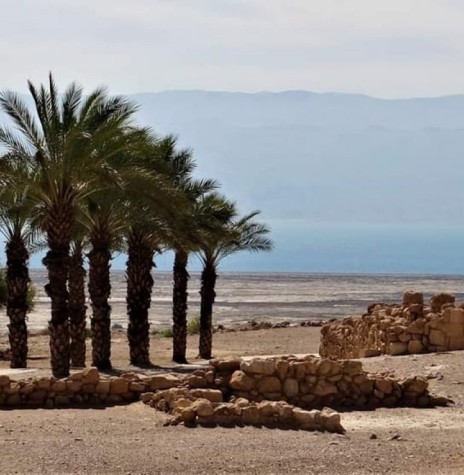 || Tamareiras na orla do Mar Morto próximo ao local onde foram descobertas as sementes milenareS. 
Imagem anexada ao artigo de 28.04.2023, de sua autoria. - FOTO 17 -