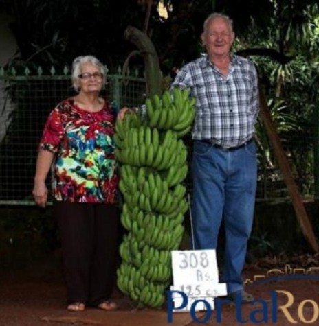|| Casal Selma e Eugênio Antonio Walter com o super cacho de bananas. 
Imagem: Acervo Portal Rondon - FOTO 8 - 