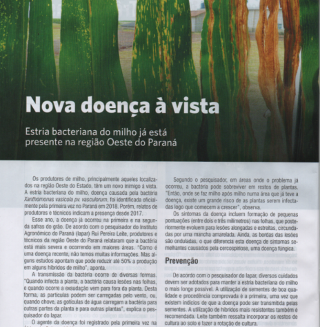 || Destaque do Boletim Informativo do Sistema FAEP sobre a estria bacteriana no Oeste do Paraná.
Imagem: Acervo FAEP - FOTO 18 - 