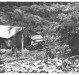 Dr. Seyboth visitando pacientes no interior  de Marechal Cândido Rondon, em  1960.