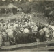 Mais uma vista da área  do matadouro de Helmuth Koch com animais para abate. 
A residência ao fundo provavelmente foi a residência do pioneiro Rinaldo Ludwig. Se for, hoje pertence ao empresário Paulo Rempel. 
