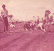 Plantação de grama para a formação do campo do Oeste Paraná FC, hoje Estádio Waldir Schneider. 
Em pé, Orlando Miguel Sturm. Agachados: Alfredo Bausewein ( treje escuro) e Eugênio Müller (de camisa branca, foi por muitos anos tesoureiro da Prefeitura Municipal de Marechal Cândido Rondon). 