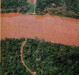 Traçado aberto na mata onde será construída a represa da Itaipu Binacional. 
Imagem: Acervo Wagner Dias - Foz do Iguaçu. 
