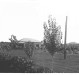 Farmácia e residência da família Seyboth, em  1955.