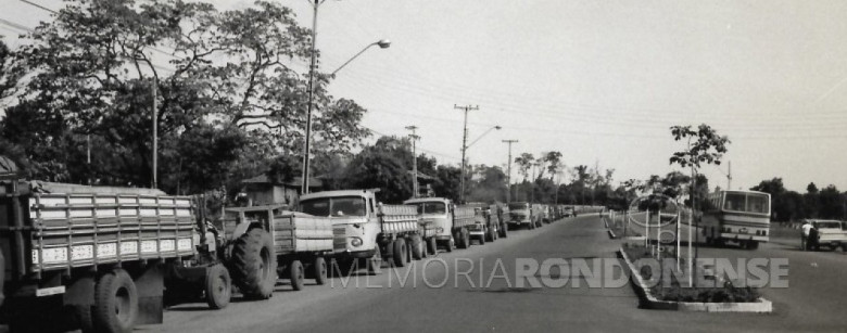 Fila de caminhões para descarregamento de safra nos armazéns da Cooperativa. 