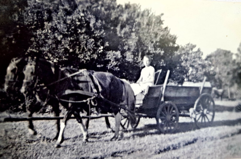 A carroça que servia ao transporte da família. Inclusive, quando precisaram ir a Guarapuava, devido a restrição aos imigrantes alemães durante a Segunda Guerra Mundial, na cidade de Foz do Iguaçu. 
Imagem: Acervo e legenda  de  Marcos Kidricki Iwamoto: Foz do Iguaçu e Cataratas  Memórias e Fotos Atuais/ Facebook, em 08 de maio de 2022.
