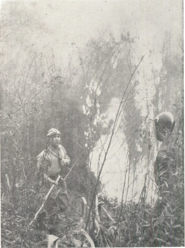 || Incêndio se alastrou por várias cidades paranaenses em 1963 — Foto: Arquivo/Corpo de Bombeiros - legenda G1.globo.com