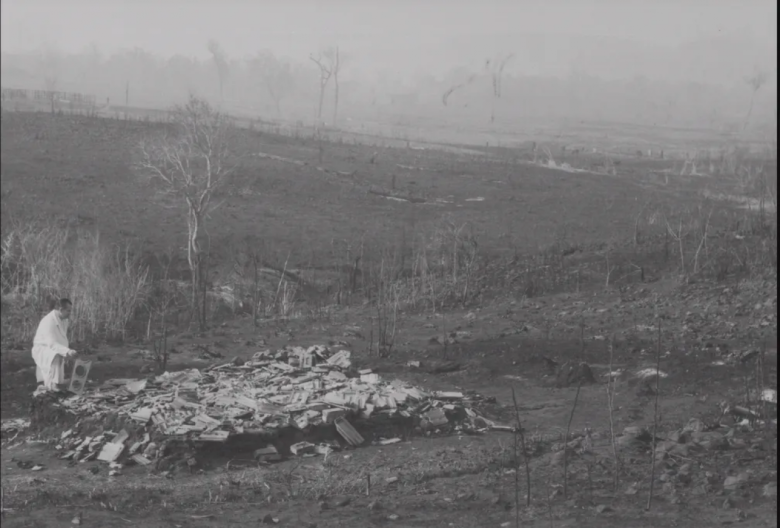 || Grande incêndio tomou conta da vegetação no Paraná, em 1963 — Foto: Reprodução Livro “1963: O Paraná em Chamas”/ Fotógrafo: Armínio Kaiser - legenda G1.globo.com