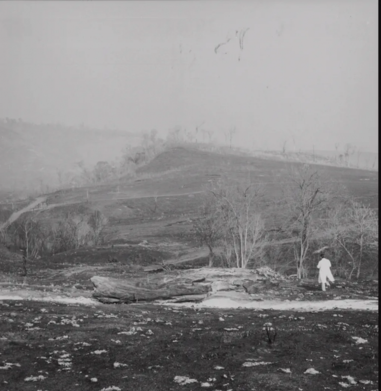 ||Chamas atingiram a área rural de muitos municípios paranaenses — Foto: Reprodução Livro “1963: O Paraná em Chamas”/ Fotógrafo: Armínio Kaiser - legenda G1.globo.com 