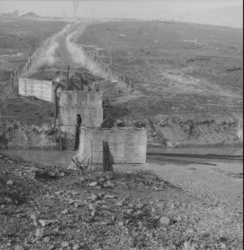 Incêndio atingiu várias regiões do Paraná em 1963 — Foto: Reprodução Livro “1963: O Paraná em Chamas”/ Fotógrafo: Armínio Kaiser - legenda G1.globo.com