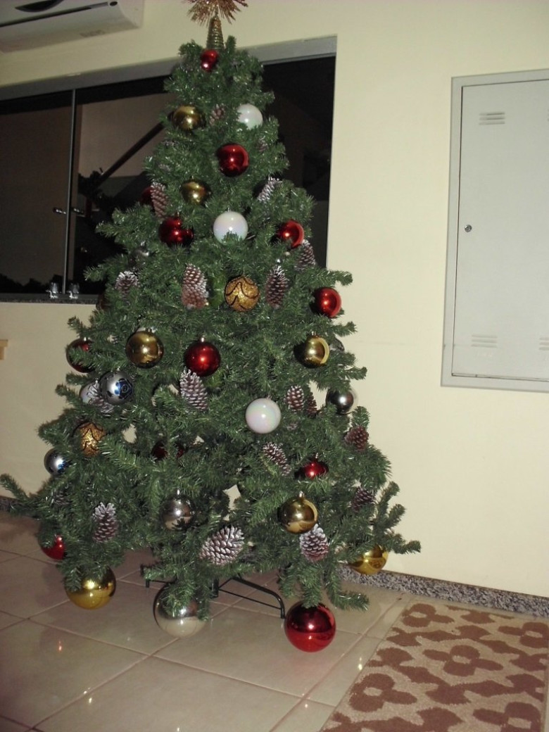 Pinheiro de Natal no saguão de recepção da Rádio Difusora do Paraná. 
Imagem: Acervo Memória Rondonense
