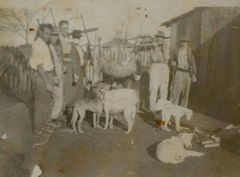 Outro flagrante de caça de um veado por pioneiros rondonenses no começo da década de 1950. 
Imagem: Acervo Nenito Costa - Camboriú 