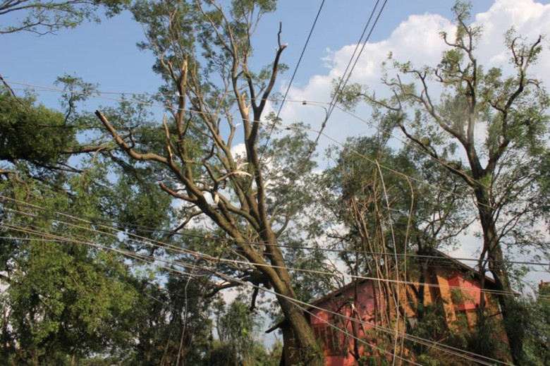 Destruição na vegetação na esquina das Ruas Men de Sá e Mato Grosso. Ao fundo, a  residência do cirugrião-dentista Gilberto Boger. 
Autor da imagem: Não identificado. 