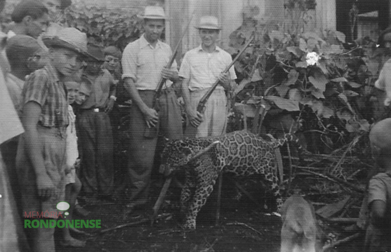 O caçador, a esquerda, de espingarda, é o pioneiro Alfredo Nied. 

Imagem: Acervo de Orlando e  Rafael Sturm