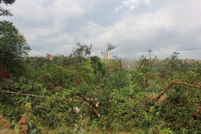 Mais uma imagem da devastação da vegetação entre o Loteamento Maioli e o Parque Industrial III e área central sul da cidade de Marechal Cândido Rondon.
Autor da imagem: Não identificado. 