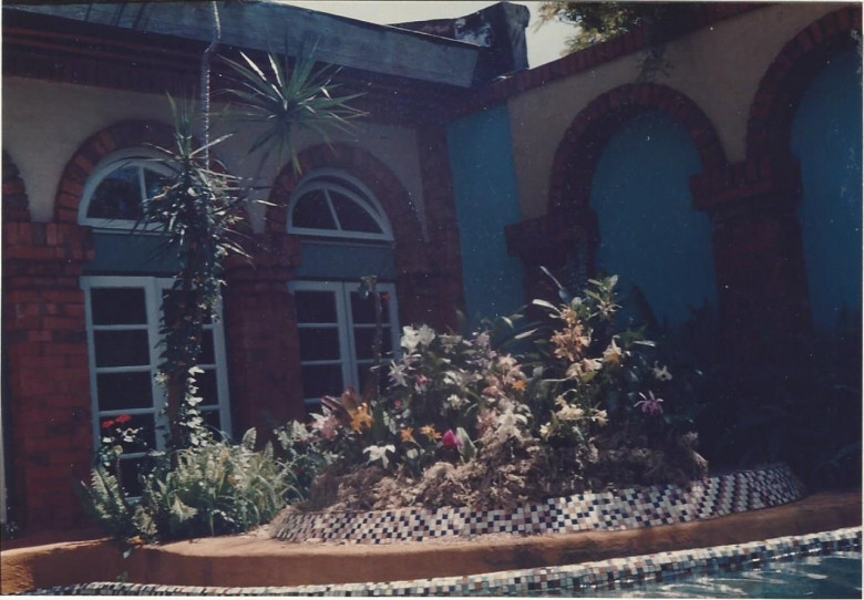 Outro aspecto da vitrine  de plantas para o vídeo-tape montada no interior da residência do Heribert  Hans-Joachim Gasa. 
Imagem: Acervo Memória Rondonense