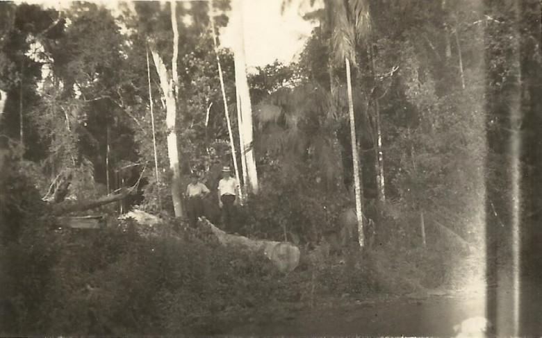 Outra visita da derrubada da mata.