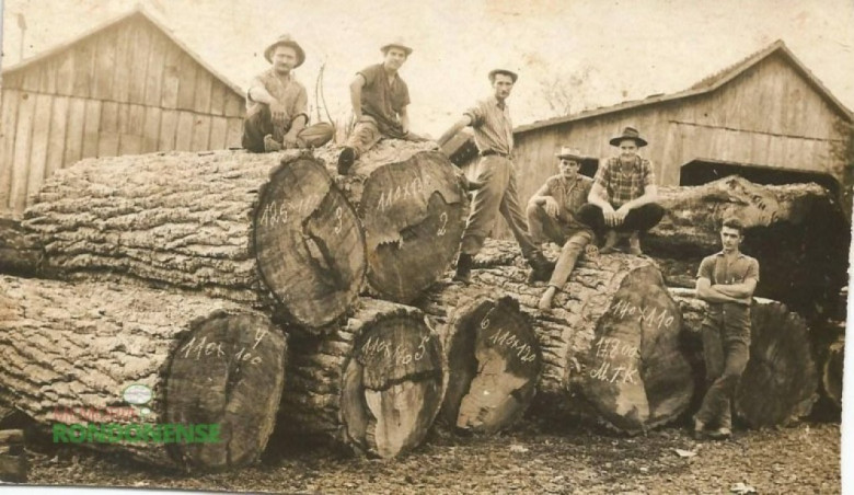 || Toras de peroba junto a extinta serraria do pioneiro Cristiano Kempfer, às margens do Arroio Fundo, do lado direito de quem vai da sede municipal de Marechal Cândido Rondon a sede distrital de Margarida. A foto é de 01 de janeiro de 1968. Imagem: Acervo Charline Zart