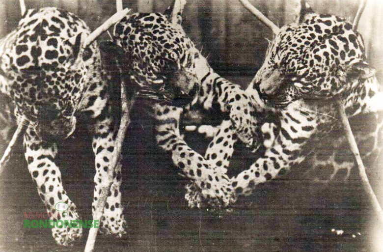 Imagem: Acervo da Família de Arlindo e Norma Lamb