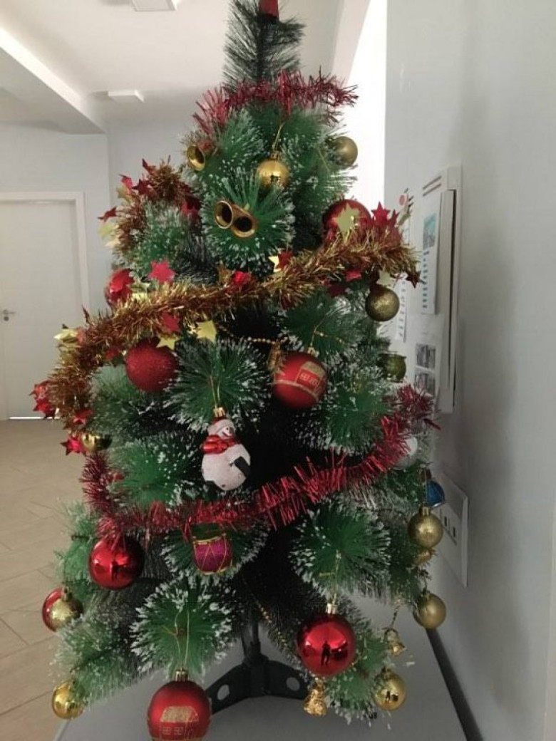 Árvore de Natal da Editora Amigos da Natureza. 
Imagem: Acervo Arno Kunzler 