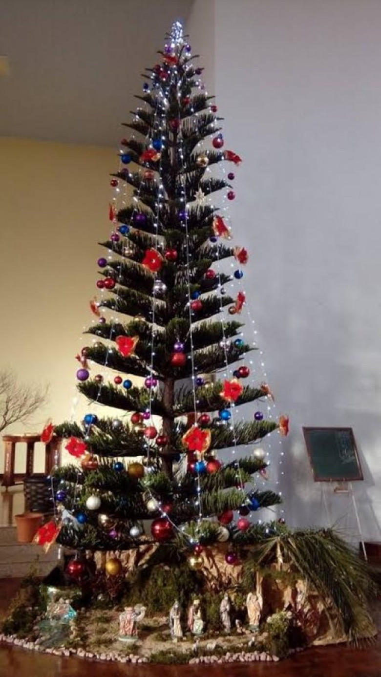 Árvore de Natal da Comunidade Evangélica Martin Luther, na cidade de Marechal Cândido Rondon. 
Imagem: Acervo Verneu Huguen