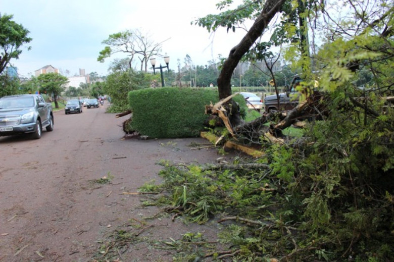 Avenida Rio Grande do Sul em frente ao Parque da Lazer Rodolfo Rieger. 
Autor da imagem: não identificado. 