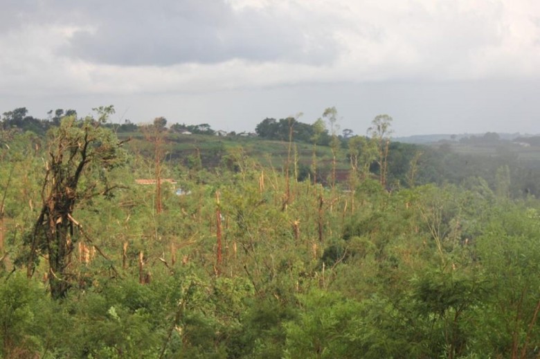 Outro detalhe da devastação da vegetação entre o Loteamento Maioli e o Parque Industrial III e área central sul da cidade de Marechal Cândido Rondon.
Autor da imagem: Não identificado. 