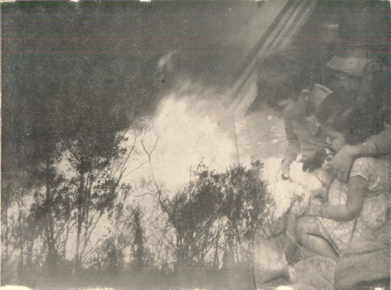 Incêndio atingiu cidades do norte pioneiro e região central do Paraná em 1963 — Foto: Corpo de Bombeiros/Arquivo - legenda G1.globo.com
