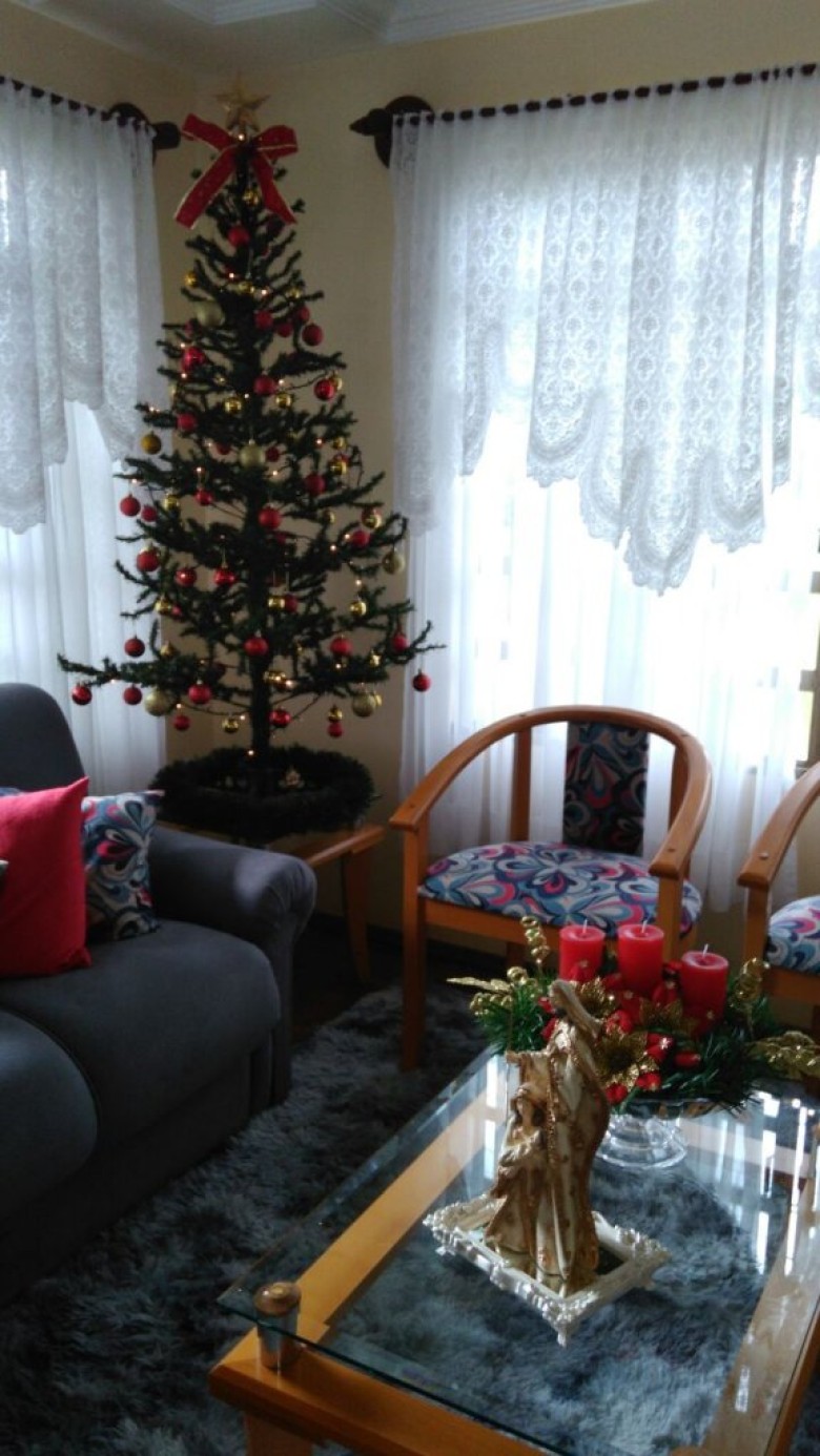 Árvore de Natal do casal João e Rosane Livi. 
Imagem: Acervo pessoal 
