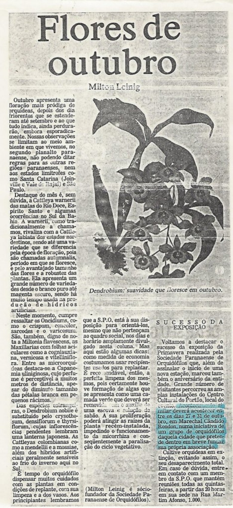 Publicação de nota na Gazeta do Povo, de Curitiba, com referência a Exposição. 
Imagem: Acervo Memória Rondonense. 