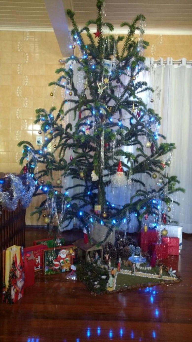 Árvore de Natal de Clair Prass. 
Imagem: Acervo pessoal
