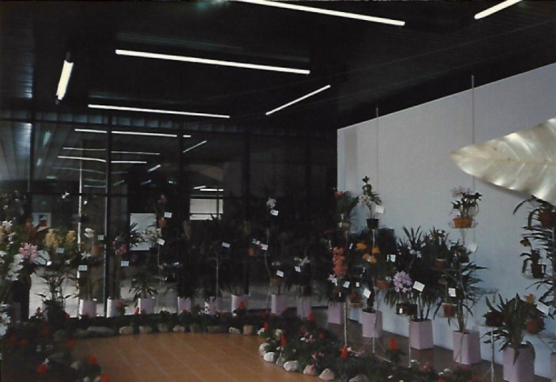 Parte da exposição de orquídeas e plantas ornamentais da Sociedade Paranaense de Orquidófilos, no Centro Cultural do Portão, em Curitiba, de 21 a 25 de setembro de 1989. 
Imagem: Acervo Memória Rondonense