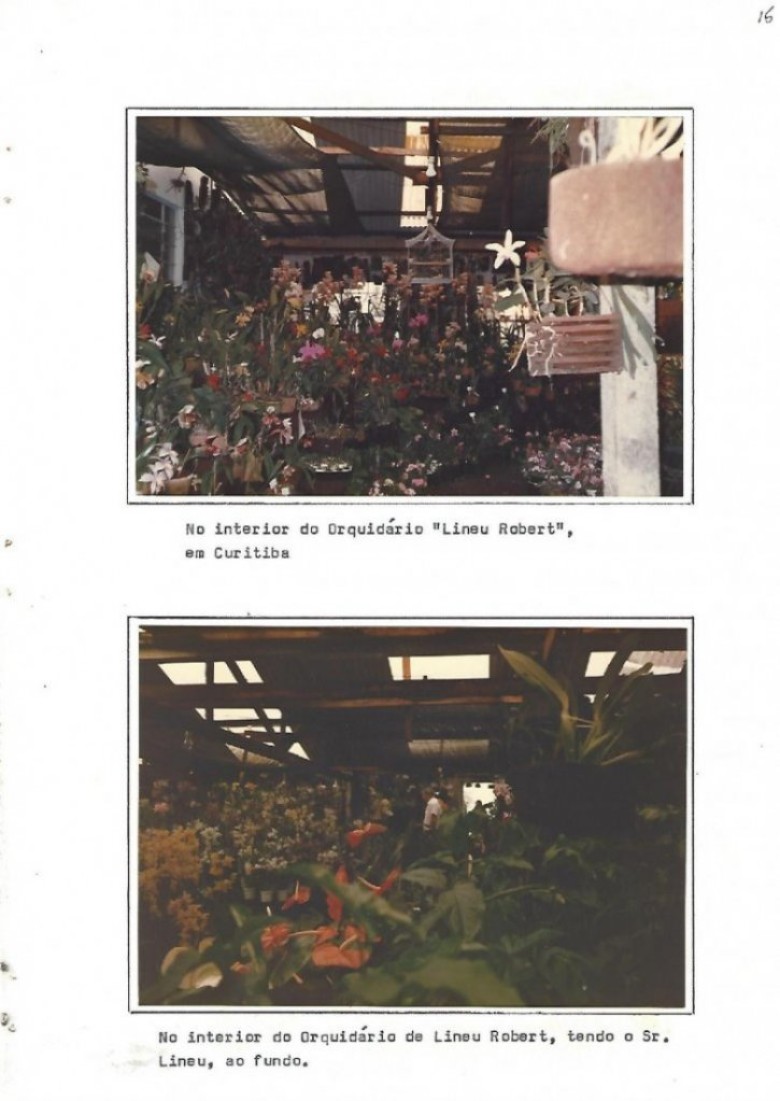 Flagrantes do Orquidário de Lineu Robert, em Curitiba. 
Imagem: Acervo Memória Rondonense