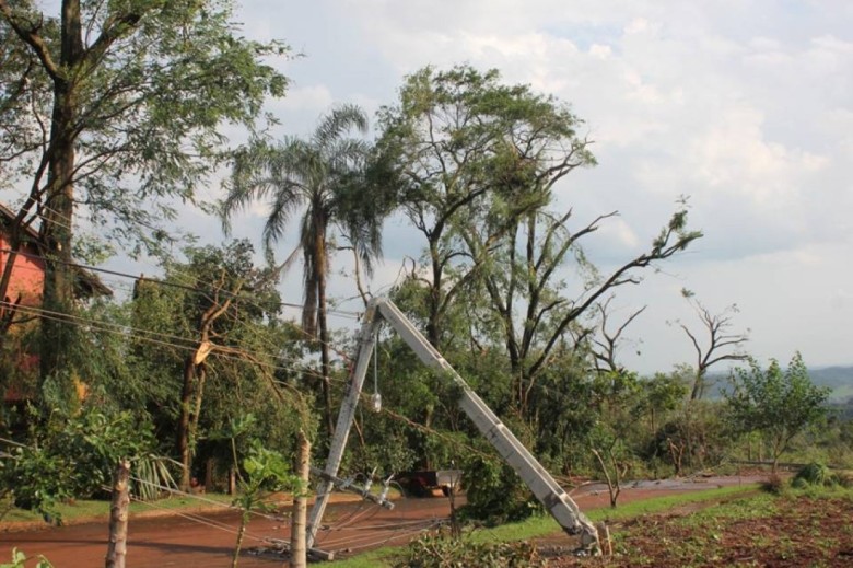 Destruição na vegetação na esquina das Ruas Men de Sá e Mato Grosso, próximo a residência do cirugrião-dentista Gilberto Boger. 
Autor da imagem: Não identificado. 