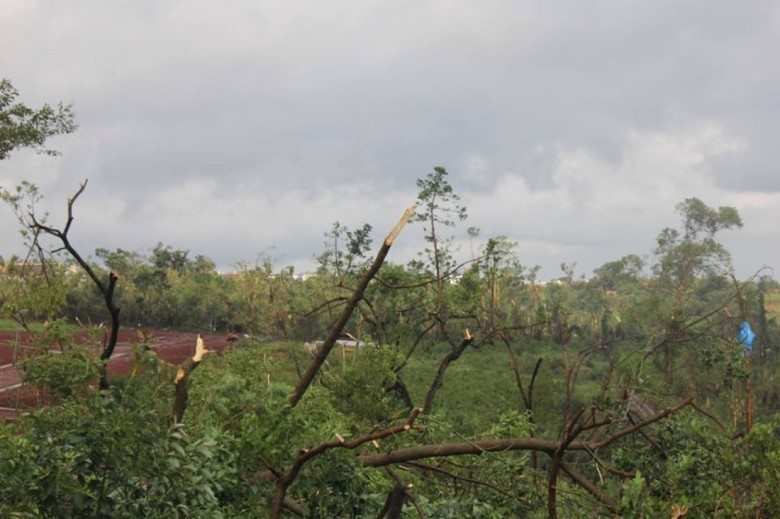  Outra imagem da devastação da vegetação entre o Loteamento Maioli e o Parque Industrial III e área central sul da cidade de Marechal Cândido Rondon.
Autor da imagem: Não identificado. 