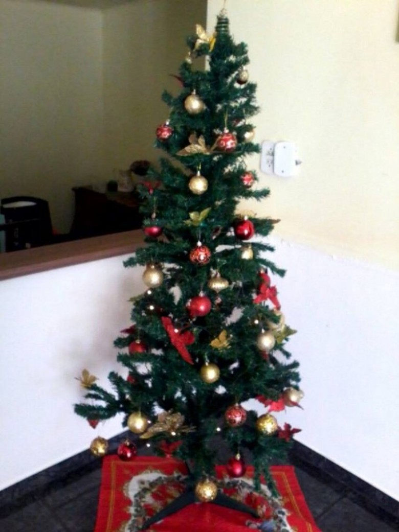 Árvore de Natal do casal Cláudio e Merci Lindner. 
Imagem: Acervo pessoal 