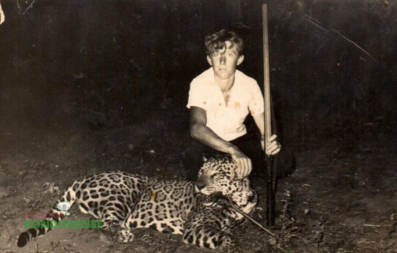 O jovem pioneiro rondonense Flávio Fischer posando junto a onça abatida na década de 1950, em Marechal Cândido Rondon.  Ele não foi o caçador do felino. 
Imagem: Acervo Orlando e Rafael Sturm