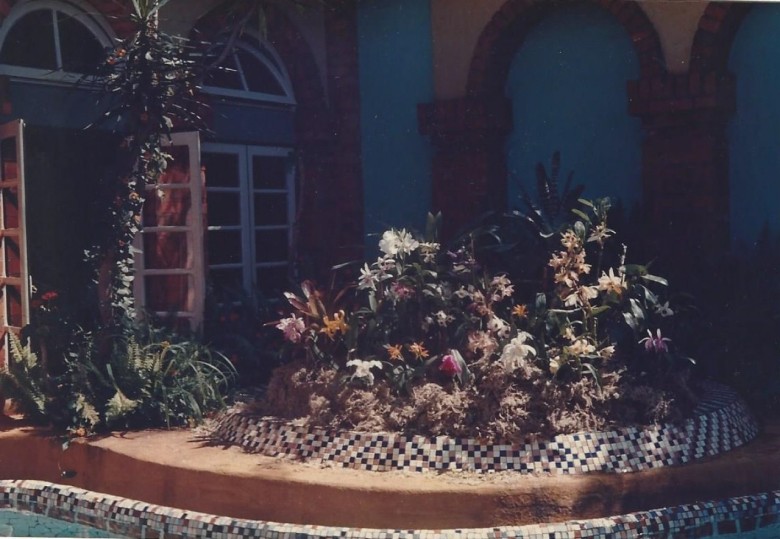 Outro instantâneo da vitrine de plantas. 
Imagem: Acervo Memória Rondonense 