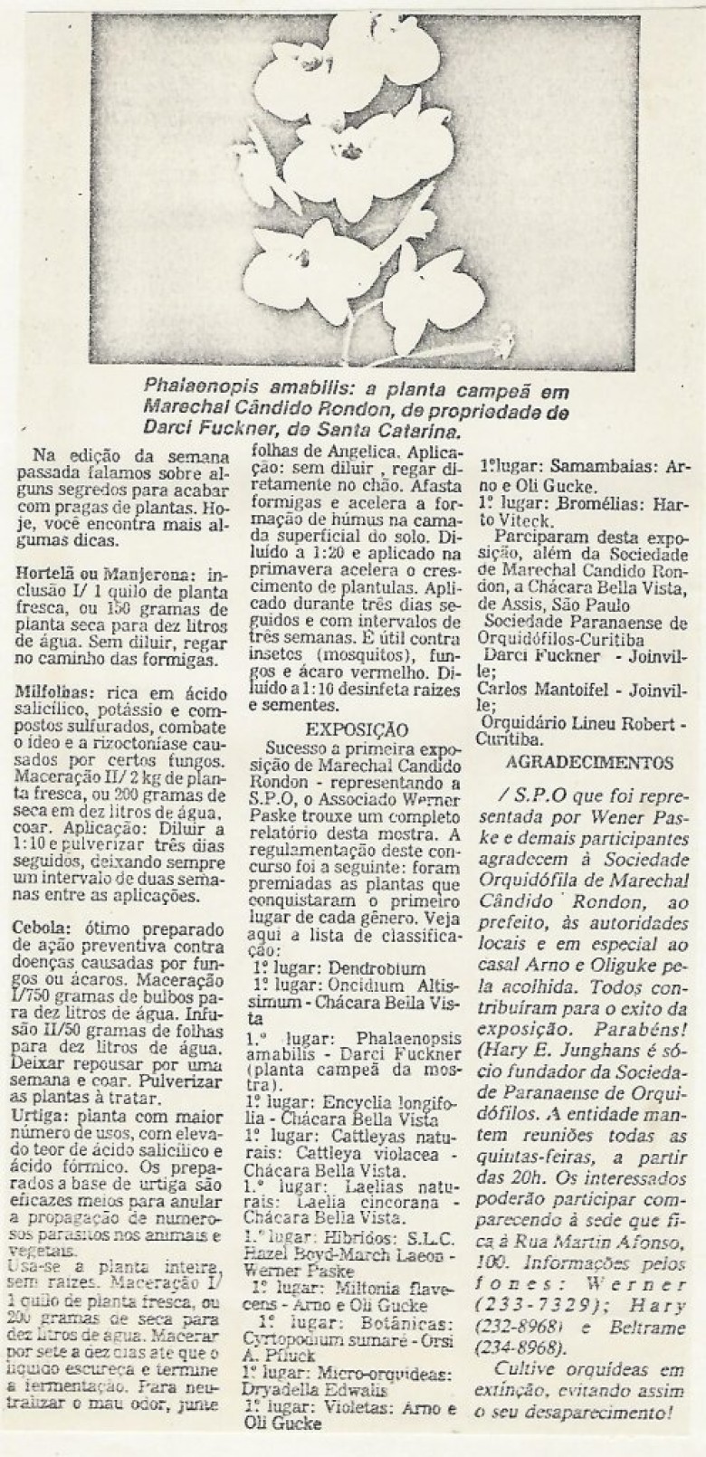 Outra nota publicada na Gazeta do Povo abordando a Exposição. 
Imagem: Acervo Memória Rondonense.