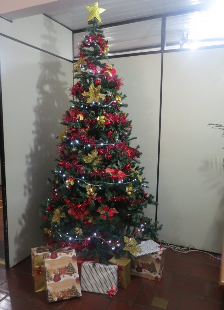 Árvore de Natal do jornal O Presente. 
Imagem: Acervo O Presente 