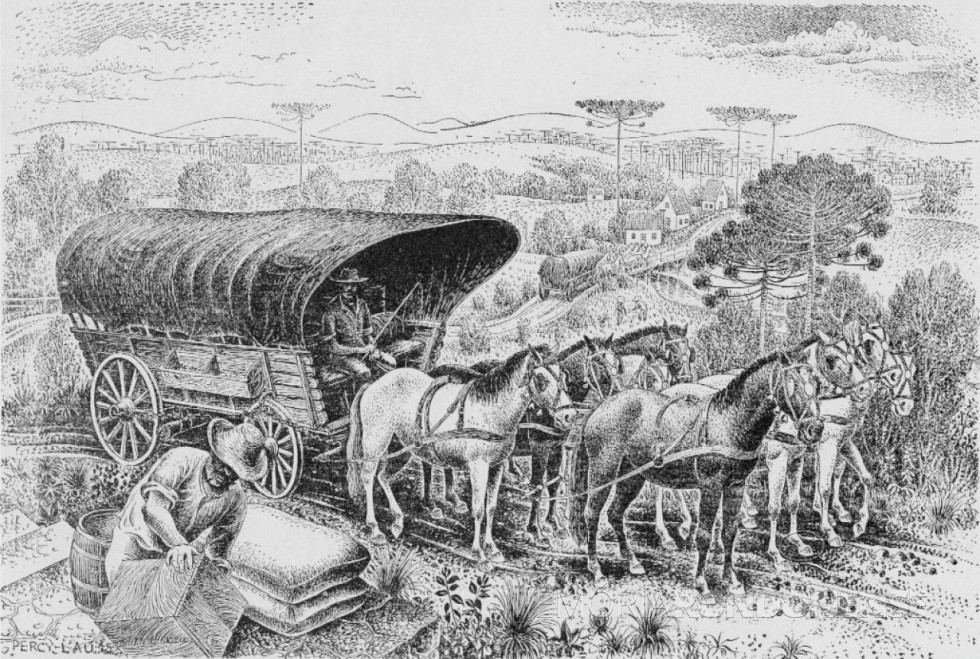 || Carroça com toldo, um meio de transporte marcante da imigração polonesa no Paraná. 
Image: ilustração de Percy Lau - FOTO 8 - 