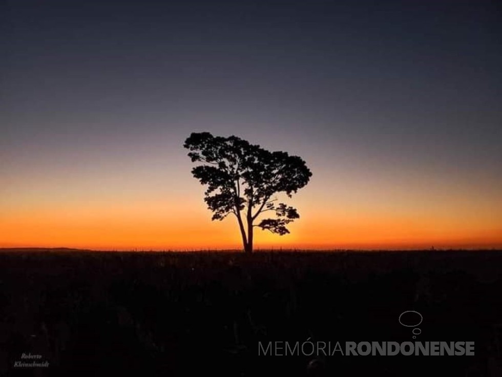 || Poente na região de Marechal Cândido Rondon, em 20 de maio de 2024.
Imagem: Acervo o Presente - crédito de Roberto Kleinschmidt - FOTO 30 - 
