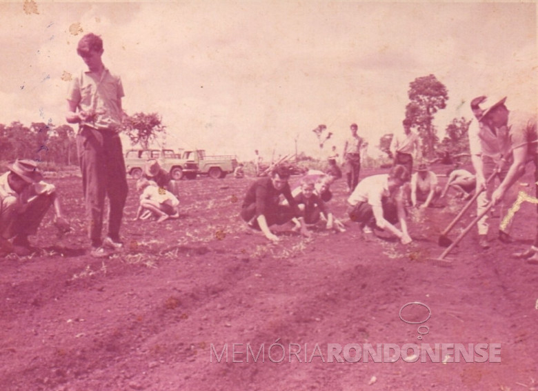 Plantação de grama para a formação do campo do Oeste Paraná FC, hoje Estádio Waldir Schneider. 
Em pé, Orlando Miguel Sturm. Agachados: Alfredo Bausewein ( treje escuro) e Eugênio Müller (de camisa branca, foi por muitos anos tesoureiro da Prefeitura Municipal de Marechal Cândido Rondon).