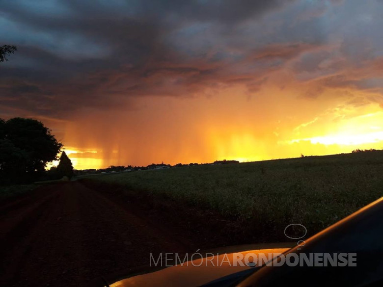 Imagem: Sandra Soares da Luz - Foto feita a partir da Linha Peroba.