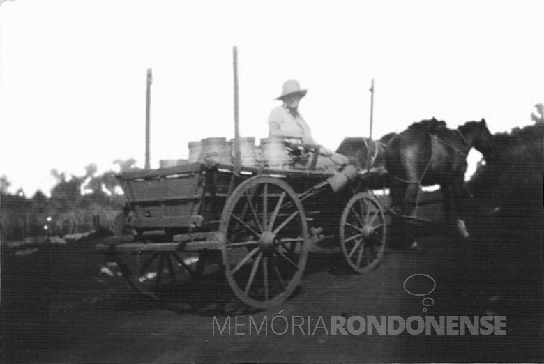 Pioneiro Arno Sippert fazendo entrega de leite com carroça, em  1957.