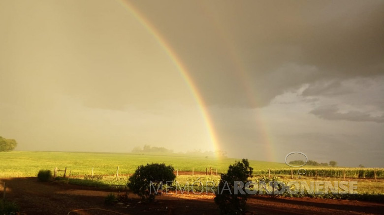 Imagem: Joice Petermann Baade - Foto feita no distrito rondonense de Porto Mendes.