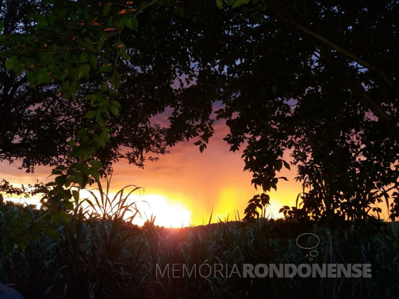 Imagem: Lélia Hoffmann - Foto feita a partir da Linha Guarani.